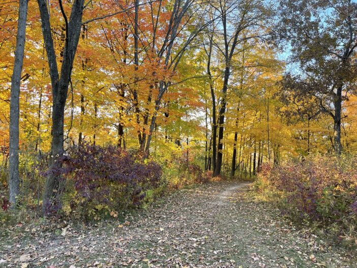 Home The Village of Lannon